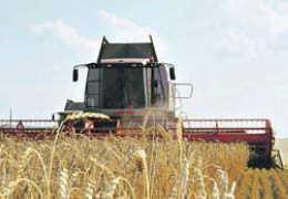 Российское зерно подешевело перед очередным рывком цен.